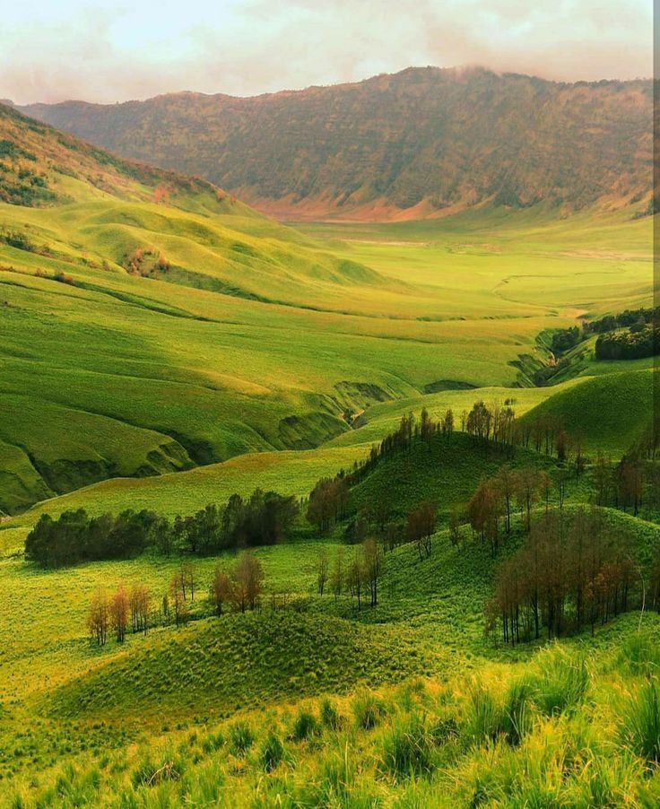 Bromo Banyuwangi