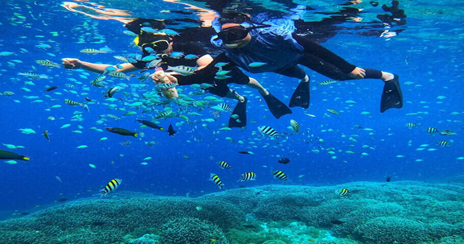 Pulau Harapan