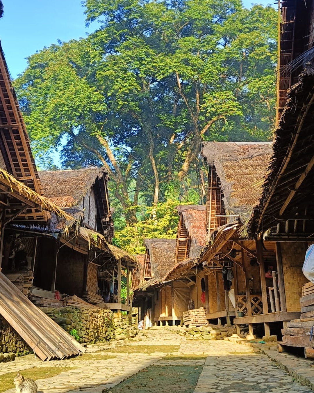 Baduy