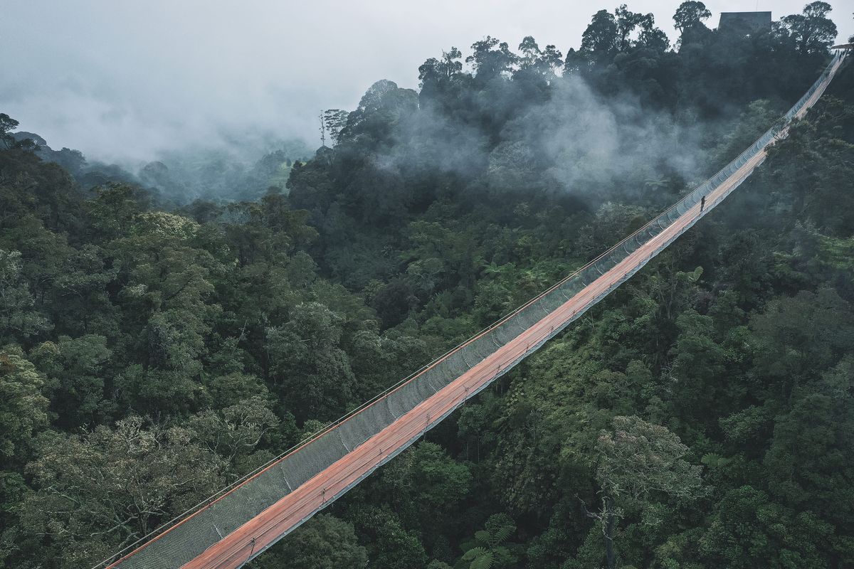Situ Gunung
