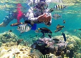 Pulau Pari